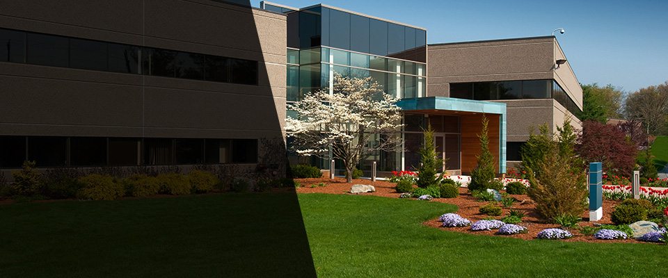 Zellwood Landscapers