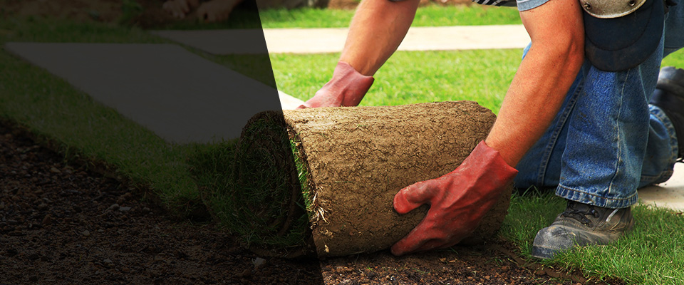 Zellwood Landscapers